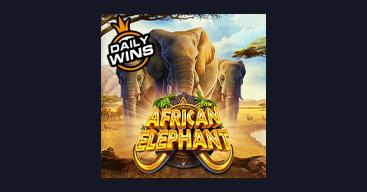 Rahasia Maxwin di Slot African Elephant dari Pragmatic Play